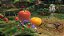 Jogo Pikmin 3 - Wii U - Imagem 2