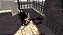 Jogo ICO - PS2 - Imagem 3
