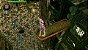 Jogo Gravity Rush - PS Vita - Imagem 4