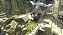 Jogo The Last Guardian (Collector's Edition) - PS4 - Imagem 4