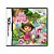 Jogo Dora's Big Birthday Adventure - DS - Imagem 1