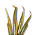 Kit 4 Pinças Lash Pro - Imagem 1