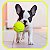 Brinquedo Mordedor Bolinha Bola de Tênis para Cachorro - Fluffié - Imagem 3