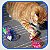 Brinquedo Pet Bola C/ Ratinho para Gatos e Cães - Imagem 5