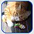 Brinquedo Pet Bola C/ Ratinho para Gatos e Cães - Imagem 3