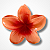 Piranha de Flor - Imagem 2