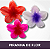 Piranha de Flor - Imagem 1