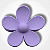 Presilha de Cabelo - Flor - Imagem 6