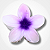 Presilha Flor - Branco - Imagem 3