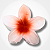 Presilha Flor - Branco - Imagem 7