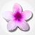 Presilha Flor - Branco - Imagem 6