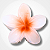 Presilha Flor - Branco - Imagem 8