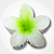 Presilha Flor - Branco - Imagem 5