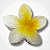 Presilha Flor - Branco - Imagem 4