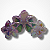 Piranha Flores Grande - Imagem 3
