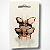 Cartela Piranha Borboleta Listras - Imagem 7