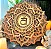Mandala 7 Chakras - Imagem 3