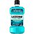 ENXAGUANTE BUCAL LISTERINE COOL MINT 250ML - Imagem 1