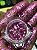 USEGLOW - Glitter Rayssa - Imagem 1