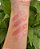 Dalla - Ursinhos Carinhosos Lip Balm Twist Cor 04 - Imagem 3