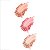Zanphy Paleta de Blush - 3 cores - Imagem 3