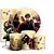 KIT Redondo Trio e Faixa - Harry Potter - Sublimado 3D - Imagem 1