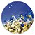 Painel Redondo - Fundo do Mar - Sublimado 3D - Imagem 1