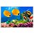 Painel Retangular - Fundo do Mar - Sublimado 3D - Imagem 1