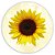 Mini Painel - Girassol - Sublimado 3D - Imagem 1