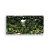 Painel Retangular - Fundo-Floresta-Dinossauro -Vivi - Sublimado 3D - Imagem 1