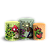 Capas Trio Cilindro Sublimado Veste Fácil - Plant Zombie - Imagem 1