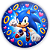 Capa Painel Redondo Sublimado - Sonic - Imagem 1