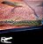 Peixe Moreia TireTrack Eel (Mastacembelus armatus) - Imagem 1