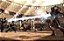 Jogo PS3 Mortal Kombat 9 - Warner Bros Games - Imagem 7
