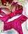 Conjunto Madona Pink - Imagem 3