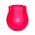Vibrador Estimulador e Sugador de Clitóris em Formato de Rosa com 10 Modos de Pulsação Sexy Import - Imagem 1