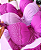 Conjunto Referência 7697 - Imagem 2