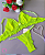 Conjunto Sutiã e Calcinha Neon Sem Bojo Sem Aro - Imagem 1