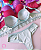Conjunto de Lingerie Com Bojo REF 4025 - Imagem 5