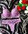 Conjunto de Lingerie Com Bojo em Renda - Imagem 1