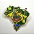 Pin mapa do Brasil personalizado "Pathfinders in Mission" campori Jamaica - Imagem 1