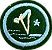 ESPECIALIDADE DBV ATIV. RECREATIVAS - Natação Avançada - Imagem 1