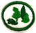 ESPECIALIDADE DBV NATUREZA - Arbustos - Imagem 1