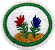 ESPECIALIDADE DBV NATUREZA - Briófitas - Imagem 1