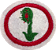 ESPECIALIDADE DBV NATUREZA -Plantas Carnívoras - Imagem 1