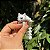 ARGANEL/PRENDEDOR DE LENÇO 3D ARTICULADO, GATINHO RABO LONGO. - Imagem 1
