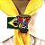 Arganéu/Prendedor de lenço, Linaje de Campeones, Bandeira do Brasil - Imagem 1