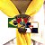 Arganéu/Prendedor de lenço, Linaje de Campeones, Bandeira do Brasil e DBV - Imagem 1