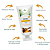 Kit Cuide-se - Emulsão protetora Solar, Hidratante Labial, Hidratante Facial de Pracaxi - Imagem 4