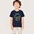 Conjunto Curto Menino Beach Camiseta e Bermuda -Rei Rex - Imagem 7